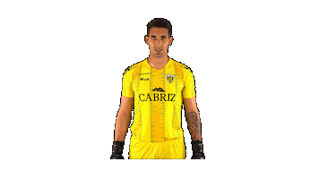 Liga Nos Sticker by CD Tondela
