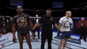 ufc 235 sport GIF by UFC