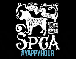 Yappy Hour GIF by Sacramento SPCA