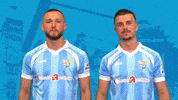 Football Win GIF by ChemnitzerFC