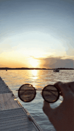 sbgbsg giphygifmaker GIF