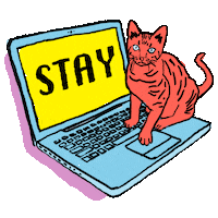 Stay Home Census 2020 Sticker by INTO ACTION