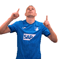 Sport Bundesliga Sticker by TSG Hoffenheim