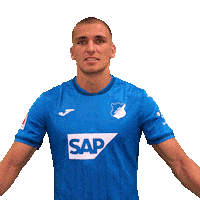 Grischa Prömel Sport Sticker by TSG Hoffenheim