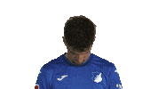 Look Up Tsg Hoffenheim Sticker by Bundesliga