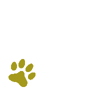 Paws Metabolic Sticker by KUNKAY