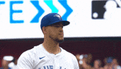 Blue Jays No GIF by Toronto Blue Jays