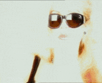 Sunglasses Seduce GIF