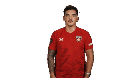 Fc Kaiserslautern Football Sticker by Bundesliga