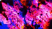 color flowers GIF by Valeria Vicente