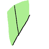 Bird Hello Sticker