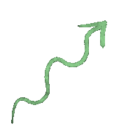 lipplelolly green arrow arrows wiggle Sticker