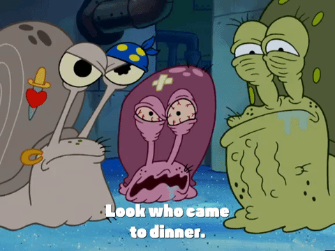 season 4 episode 3 GIF by SpongeBob SquarePants