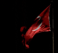 Turkey GIF