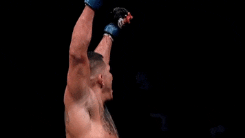 Anthony Pettis Sport GIF by UFC
