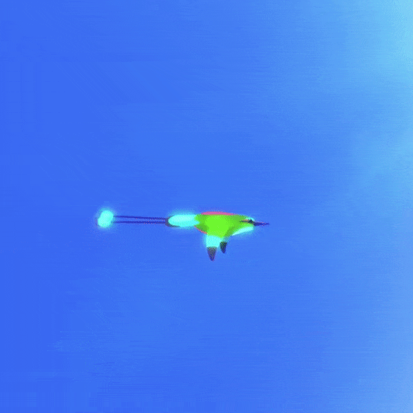 kellmanmartinez nature animal bird fly GIF