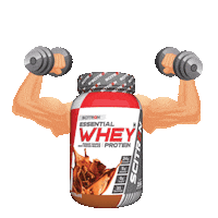 ScitronPro fitness gym health chocolate Sticker