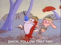 ren and stimpy nicksplat GIF