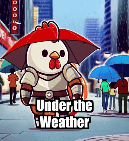 Rain City GIF by Zorooster
