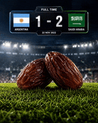 Argentina Flag Pessi GIF