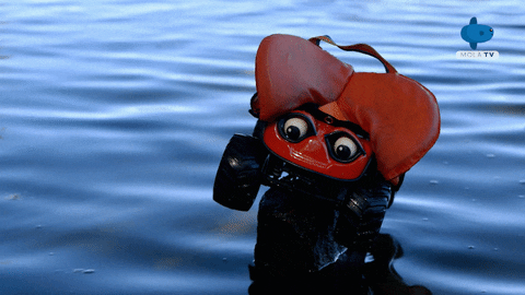 Parenting Confuse GIF by Mola TV Kids