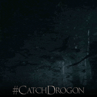 game of thrones hbo GIF by Catch Drogon