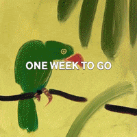 GIF by Art Car Boot Fair