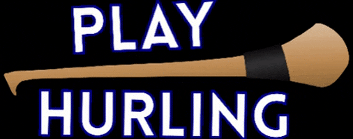Sport Irish GIF by Play Hurling