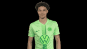 Happy Celebration GIF by VfL Wolfsburg