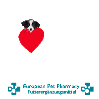 Border Co Sticker by Europeanpetpharmacy