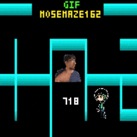 Maze 162 Mose GIF