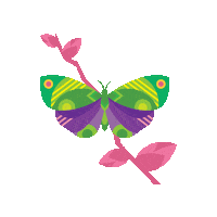 audubonnature butterfly audubon audubon nature institute audubon nature Sticker