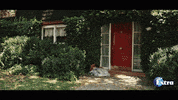 Extra GIF by ExtraOfficialUK
