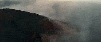 susiesuh music video fire nature artist GIF
