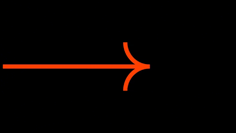 Manon Masse Quebec GIF by Québec solidaire