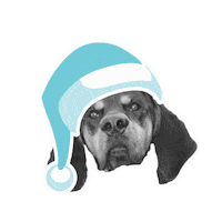 Sticker by The Good Party