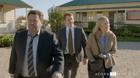 arriving new zealand GIF