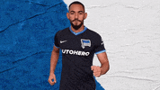 Bundesliga Berlin GIF by Hertha BSC