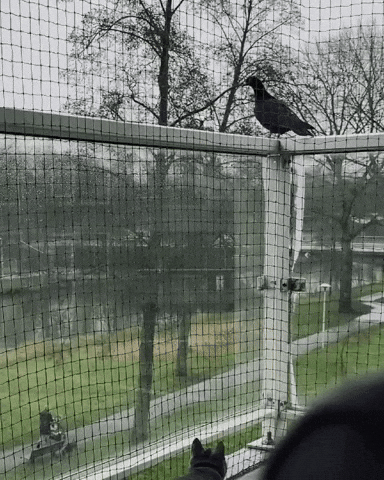 Dating Life Fail GIF