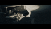 Music Video Applause GIF by whiterosemoxie