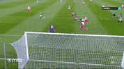 Partizan GIF by sportmts