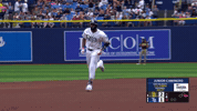 Tampa Bay Rays Sport GIF by MLB