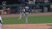 Celebrate Tampa Bay Rays GIF by MLB
