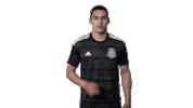 football mexico Sticker by MiSelecciónMX