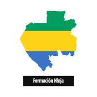 Gabon Flag Sticker by Formación Ninja