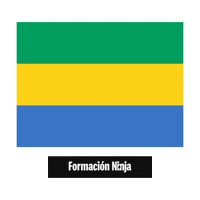 Gabon Flag Sticker by Formación Ninja