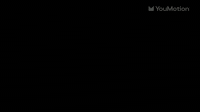 Animated Leafs