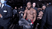Sport Mma GIF by UFC