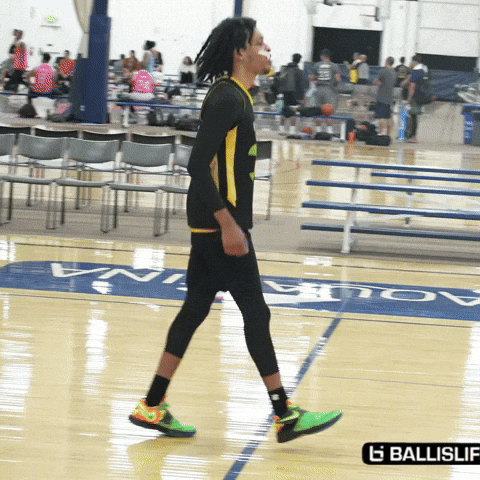Baksetball GIF