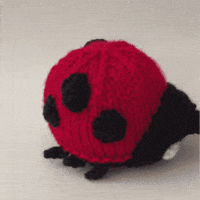 Chocolate Orange Ladybug GIF by TeaCosyFolk